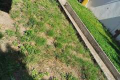 received_830614041623334
