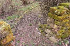 20220302_094723-rotated