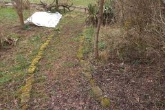 20220302_094729-rotated