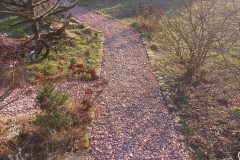 20220307_161202-rotated