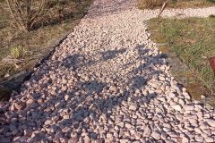 20220307_161431-rotated