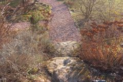 20220307_161625-rotated