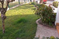 20220321_083222-rotated