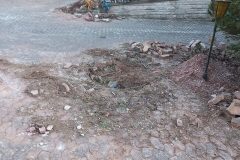 20220308_081103-2-rotated