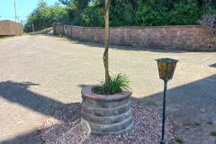 20220611_091340-2-rotated