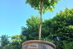 20220611_091352-2-rotated