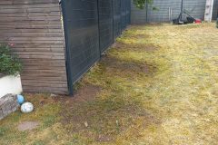 20230629_144032-rotated